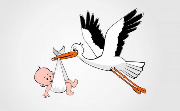 О порядке и условиях предоставления одной бесплатной попытки ЭКО