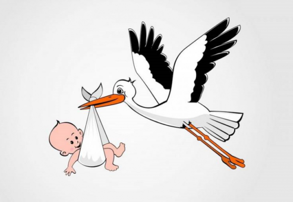 О порядке и условиях предоставления одной бесплатной попытки ЭКО