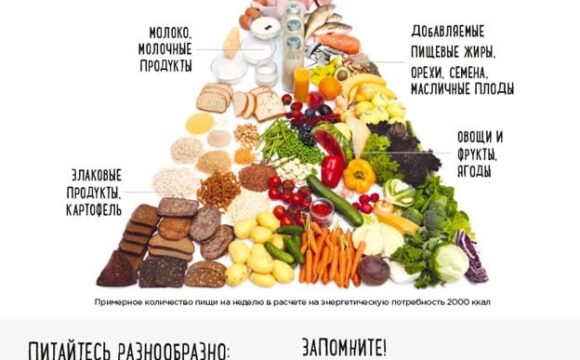 21342 16 октября в Республике Беларусь отмечается Международный день здорового питания.